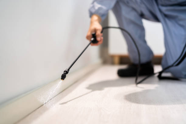 Licensed Fumigation Services service in Beverly, NJ - Nex Pest Control