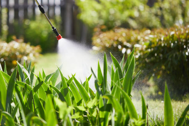 24/7 Emergency Fumigation Services experts in Beverly, NJ